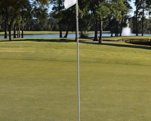 dsc_0545_51680796599_o